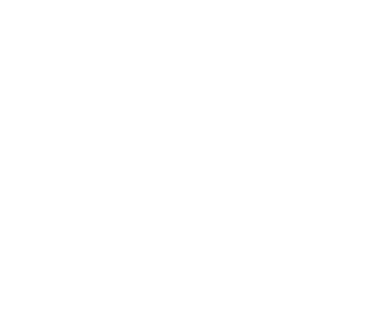 Venox Exhaust logo